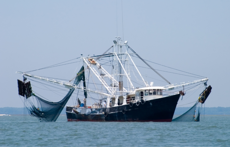 effective vessel monitoring system