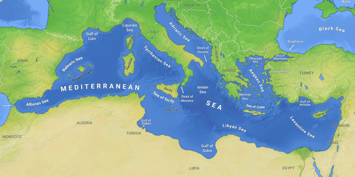 Trackwell FiMS Empowers Fisheries Management in the Mediterranean: Pioneering the New Era